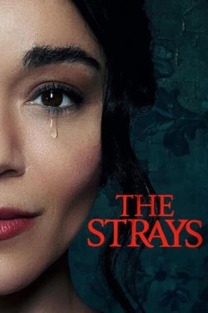 Strays