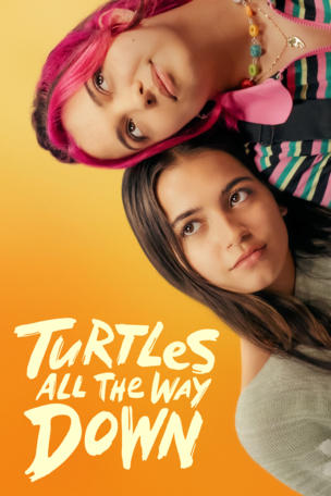 Turtles All the Way Down