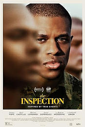 Inspection
