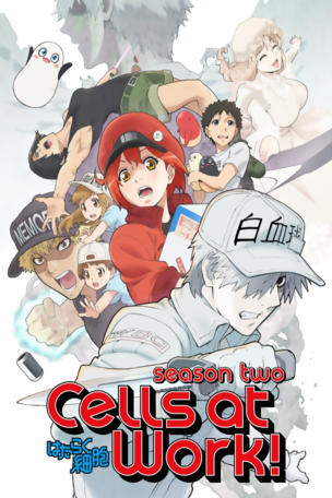 Cells at Work!_0002